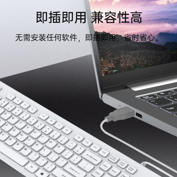 Lenovo Erazer Wired keyboard K301/white 31115831