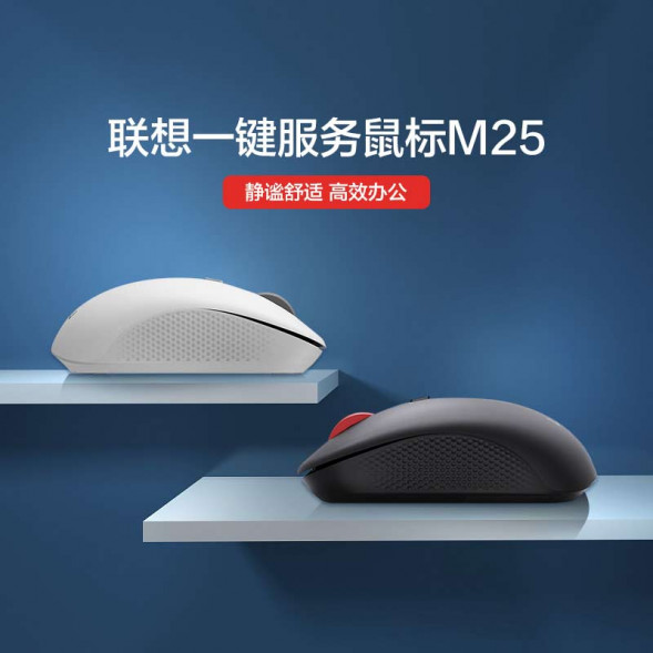 Lenovo Bluetooth version-M25-black 31105350