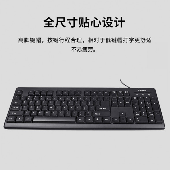 Lenovo Wired Keyboard K4800S-Black 31099148