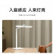 Xiaomi Mijia desktop study light 61022