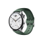 Xiaomi Watch Strap Fluoro rubber strap olive green 41816