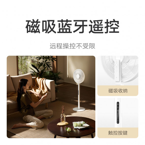 Xiaomi Mijia DC variable frequency floor fan Pro 55450