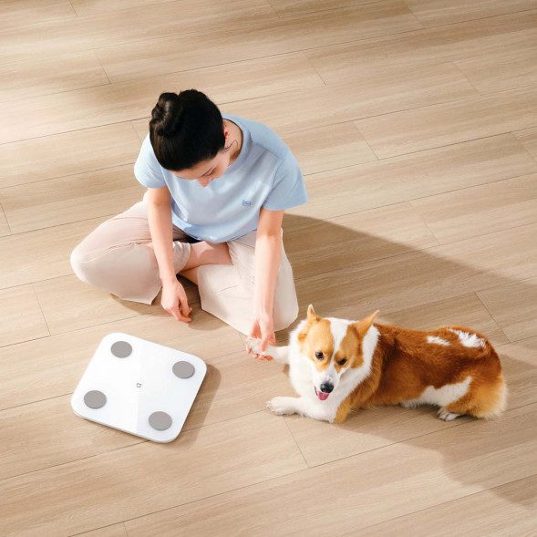 Xiaomi Mijia Body fat scale S400 white 45479