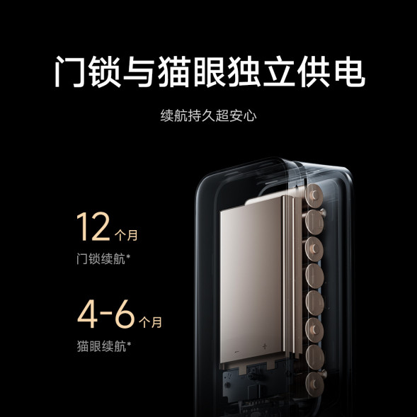 Xiaomi Smart door lock M20 large screen cat eye version black 44485