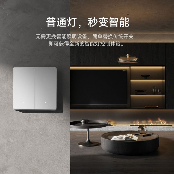 Xiaomi Smart Switch Pro Gray Single Button 51029