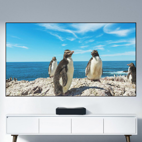 Xiaomi Laser Cinema Flexible Anti-Light Screen 37406