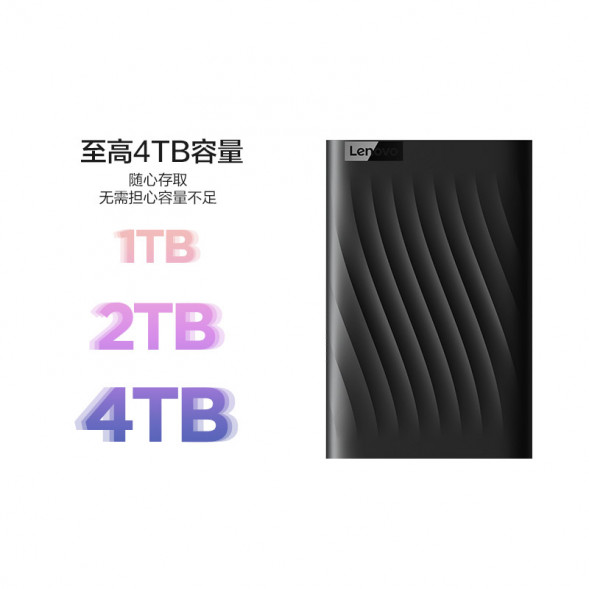 Lenovo Black/F309 Lite/4TB 888053080