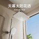 Xiaomi Mijia Thermostatic shower head S1 57281