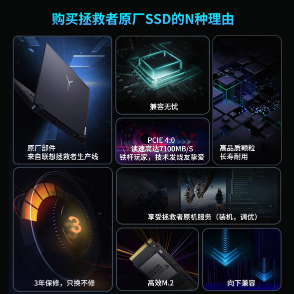 Lenovo Original SSD (PM9A1a)-1TB 870009079