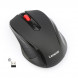 Lenovo Wireless Mouse M21 202211110008