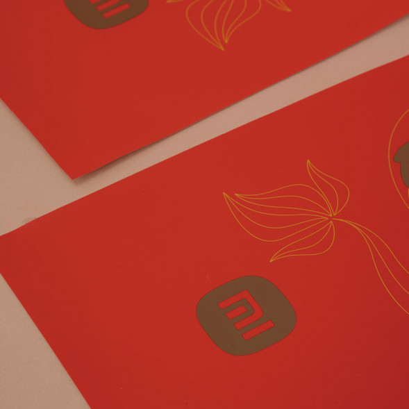 Xiaomi Customized Year of the Dragon New Year Lucky Bag 55991