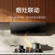 Xiaomi Mijia Intelligent flat-mounted side range hood S1 55638